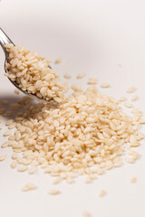 Sesame Seeds isolated on white background. Macro