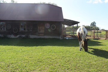 horse complex in europe with riding tourists