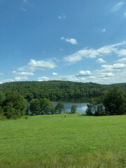 Fototapeta premium Landscape