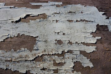 Obraz premium texture of an old brown wall from a wooden board with gray shabby paint