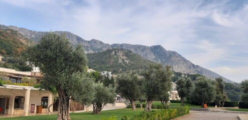 Fototapeta premium view of the city of kotor