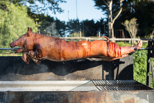 pig on a spit barbeque, 3 hours on the spit
