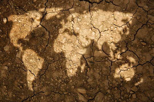 Dry continents made with shadow of a stencil