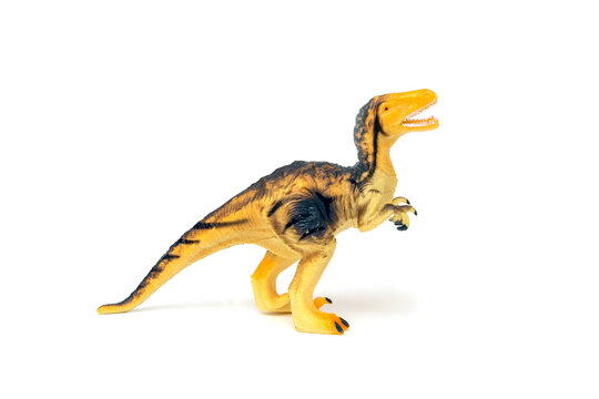 Dinosaur Deinonychus, Velociraptor, full length toy on isolated white background