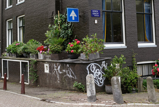 house with plants and flowers in front