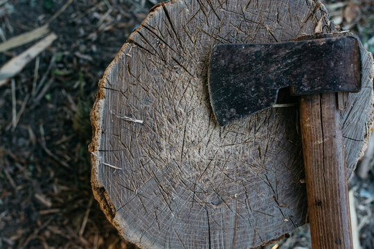 Old ax on a log