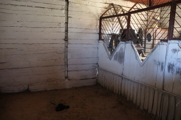 stable interior with metal doors and cage