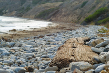 A wooden beam driftwood converted into a seat at Abalone Cove.
