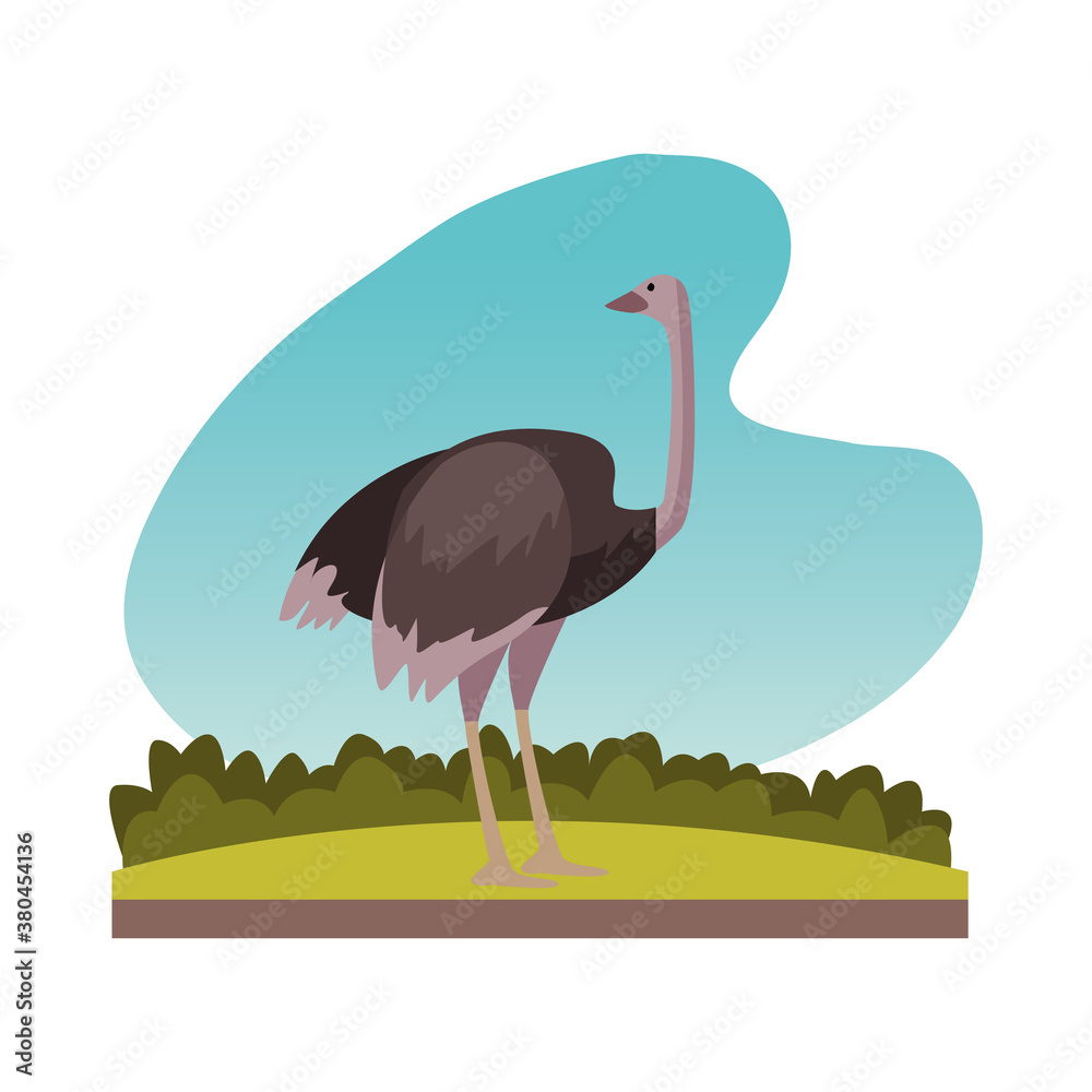 Wall mural wild ostrich animal nature icon