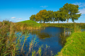Fototapeta na wymiar The edge of a lake in a green grassy field in sunlight under a blue sky in autumn, Almere, Flevoland, The Netherlands, September 24, 2020