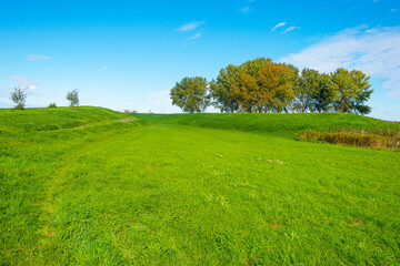Dike in a green grassy field in sunlight under a blue sky in autumn, Almere, Flevoland, The Netherlands, September 24, 2020

