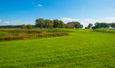 Dike in a green grassy field in sunlight under a blue sky in autumn, Almere, Flevoland, The Netherlands, September 24, 2020
