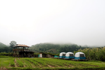Tourists camping in the beautiful nature
