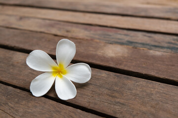 Fototapeta na wymiar White Champa flower on wood backgrounds
