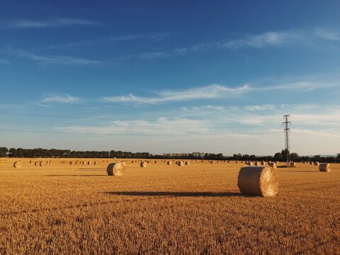 haystack