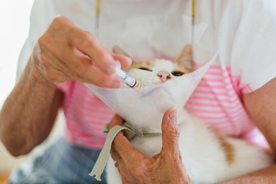 Close up of woman dosing medicine inside cat's mouth with needleless syringe