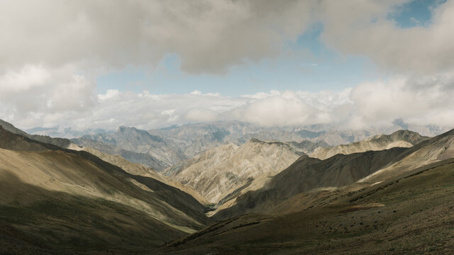 Shady Ladakh