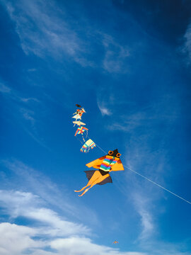 kites tied each other flying