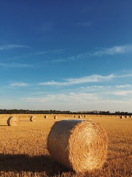 haystack