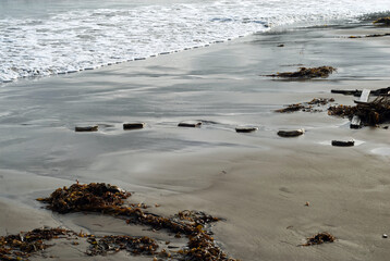 Rocks lined up like stepping stones at the beach.