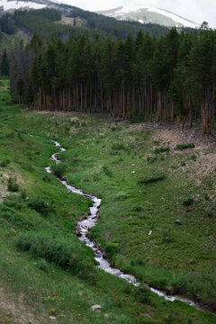 A trickling stream running down the mountain