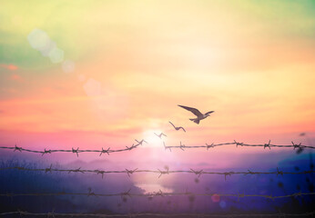 World environment day concept: Silhouette of bird flying and barbed wire at autumn mountain sunset background - obrazy, fototapety, plakaty
