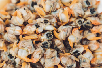 Leigh-on-Sea, Essex, Cockles Close Up