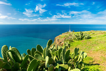 Beautiful landscape of Madeira island