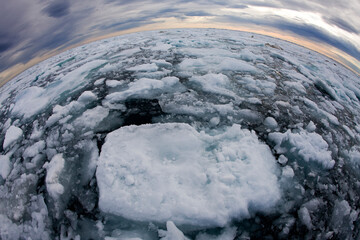 Sea Ice, Svalbard, Norway © Paul