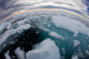 Sea Ice, Svalbard, Norway © Paul