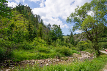Rezarwat Biała Woda, Małe Pieniny, Potok Brysztoński  © Piotr Szpakowski