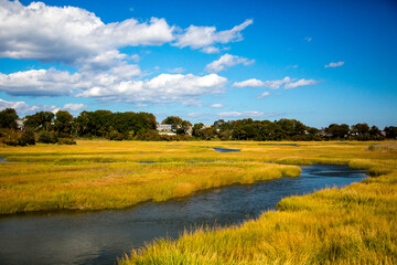 Saltgrass wetlands galong Cape Cod Bay near Sandwich, Massachusetts