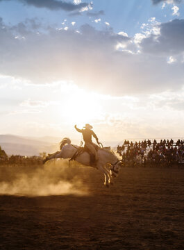 Cowboy riding horse at rodeo
