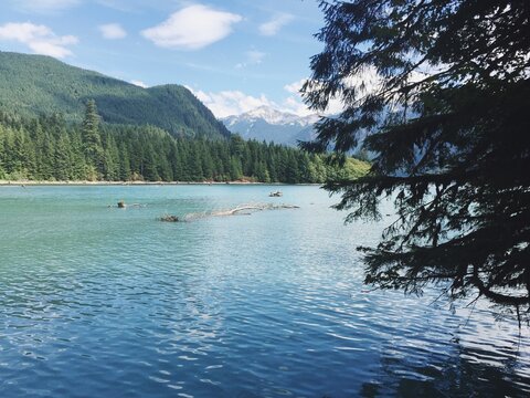 Alpine Lake View
