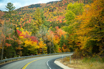 The Daniel Webster Highway (Route No. 3) winds through a hardwood forest at peak fall color, just north of Lincoln, New Hampshire, White Mountain National Forest.