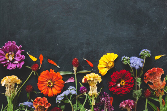 horizontal image of colorful flowers on a chalkboard background
