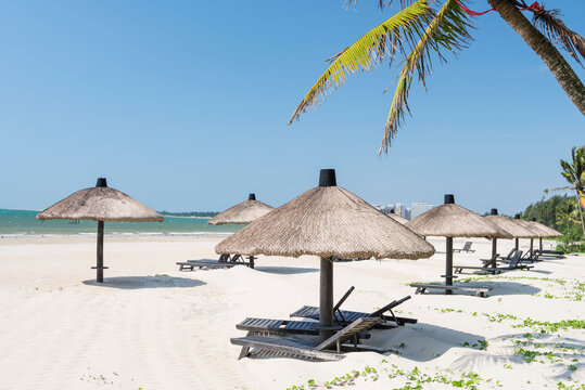 Palm trees and umbrellas on beach with blue sky