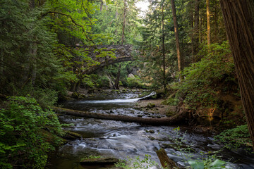 Whatcom creek at whatcom Falls park in Bellingham Washington state