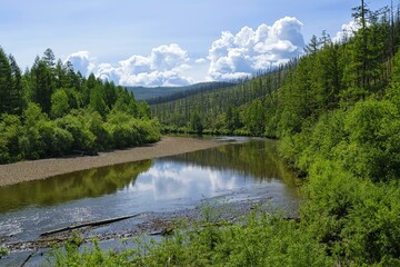 Untouched nature, peace and tranquility on the mountain river. Headwaters of the Niman river ( Bureya river tributary ). Khabarovsk Krai, Bureya Nature Reserve. Far East, Russia.
