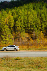 Fototapeta premium car on the road in autumn