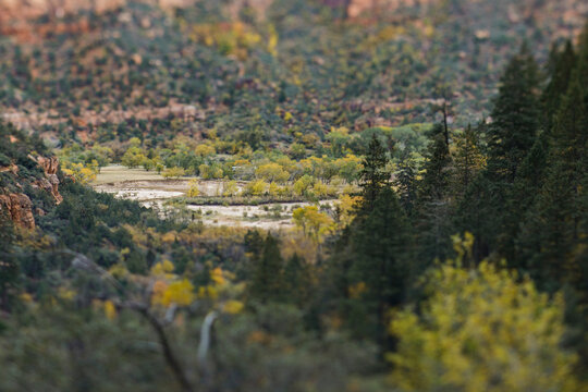 Tilt shift view of the valley at Zion National Park