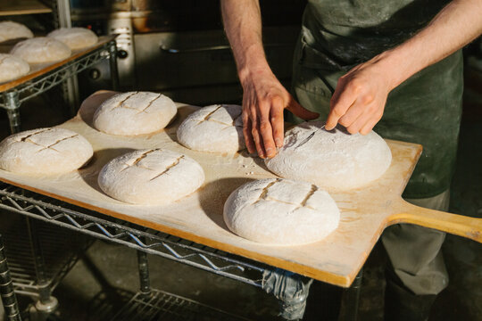 Baker Shaping Bread Dough At A Commercial Artisinal Bakery