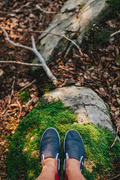 Shoes on the forest floor