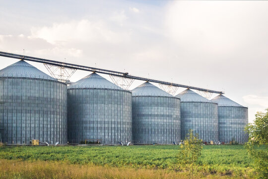 Row of agricultural silos at large plant