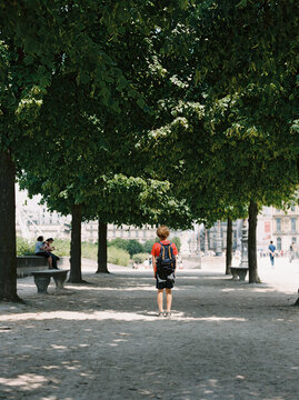 Rear view of boy standing under trees in Paris, France