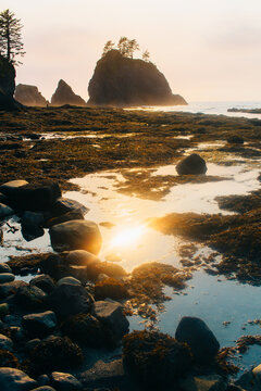 Sunset Reflects In A Coastal Tidal Pool Along The Pacific Ocean