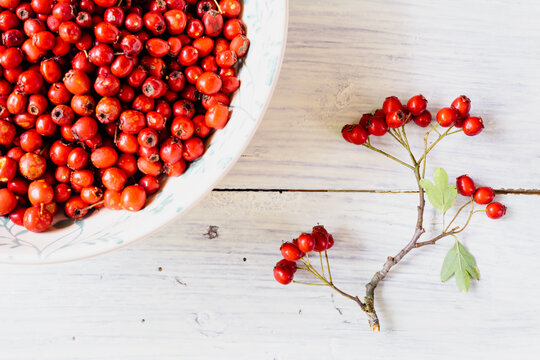 Red hawthorn berries in bowl with hip branch