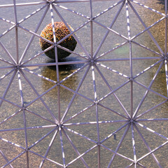 water and shrub behind metal pipes