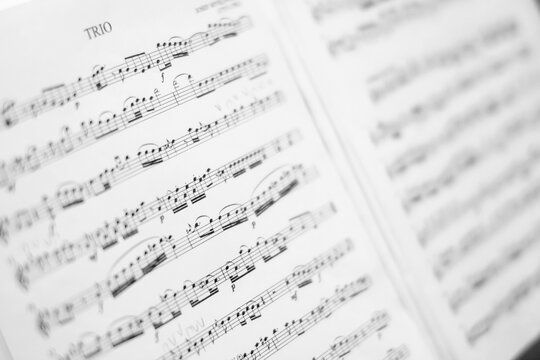 Closeup of score sheet for violin. Composition Year 1766