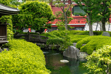japanese garden in spring